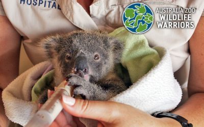 Australian Wildlife Warriors Foundation Donation