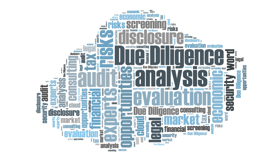 Pre-Merger-Due-Diligence